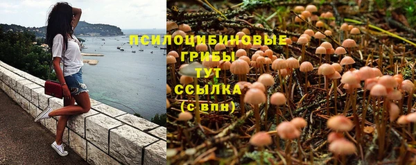 ALPHA-PVP Пролетарск