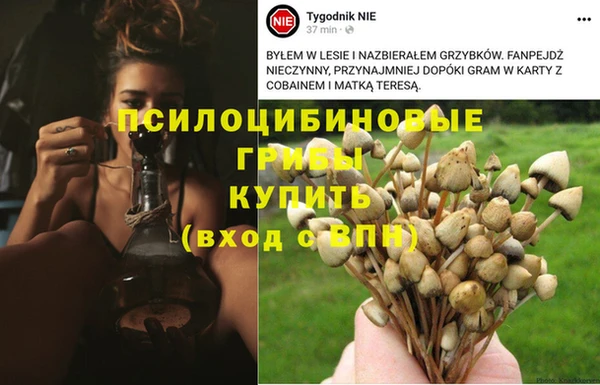 гашиш Приозерск
