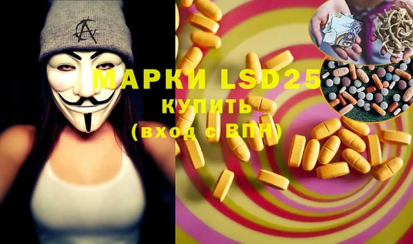 прущие грибы Алексеевка