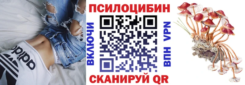 Псилоцибиновые грибы мухоморы  где купить наркоту  Кондопога 