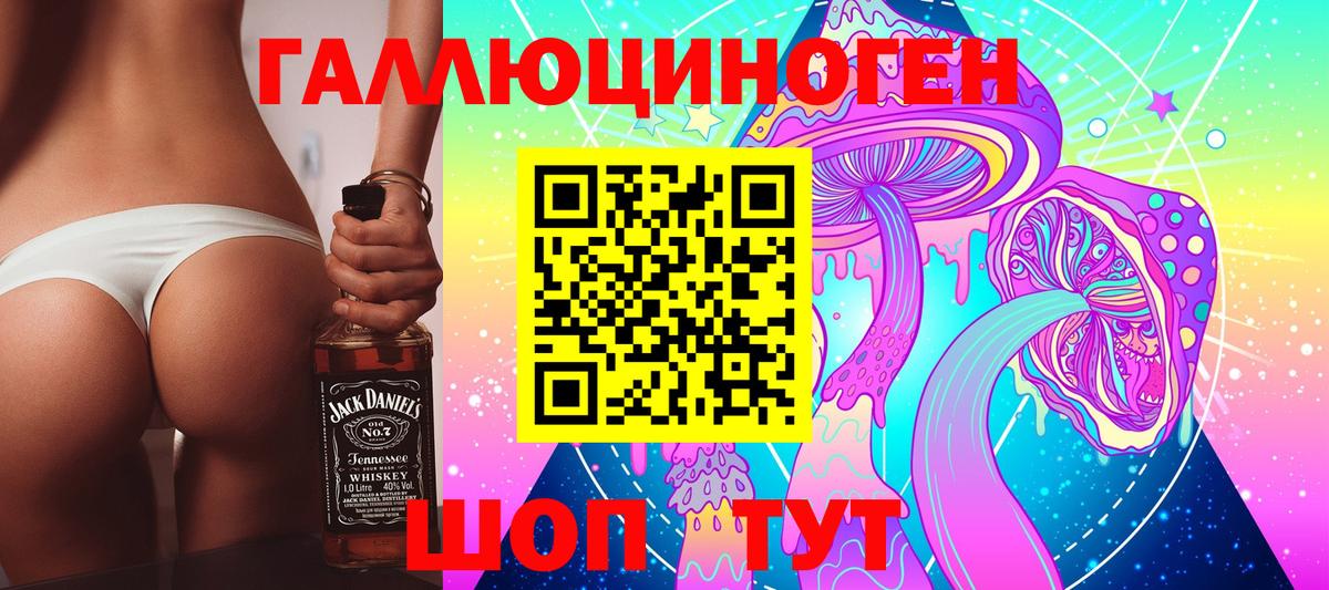 Кондопога  Галлюциногенные грибы Cubensis  Вход с VPN 
