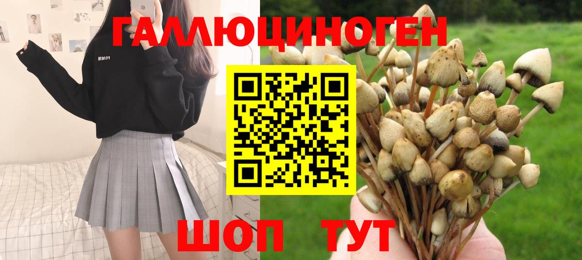 Псилоцибиновые грибы Magic Shrooms Кондопога